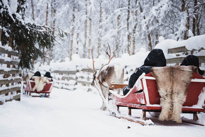 Husky and Reindeer Experience With Snowmobiling - Reindeer Farm Stop: Warm Hut Time and a 500m Sleigh Ride