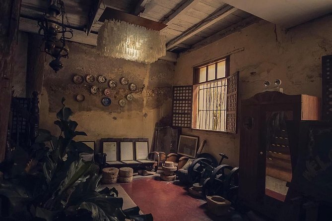 Iloilo City Tour (Garin Farm, Molo Mansion/Church, Vanishing Mansion) - Getting your bearings: a private route through Iloilo’s Spanish-and-Ilonggo mix