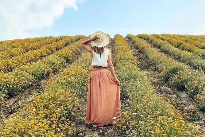 Immortelle farm island Krk - Walking the Immortelle fields on Krk Island