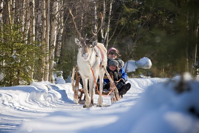 In Pursuit of Reindeer - Snowmobile safari to reindeer farm in Rovaniemi - Snowmobile Instructions and the 1.5–2 Hour Ride Through Frozen Country