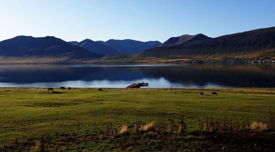 Isafjordur: Dynjandi Waterfall Tour and Icelandic Farm Visit - Who Should Book This Tour from Ísafjörður?