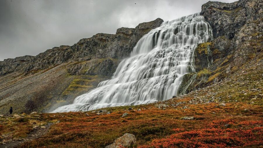 Isafjordur: Dynjandi Waterfall Tour and Icelandic Farm Visit - Why Dynjandi Hits So Hard in a Half-Day