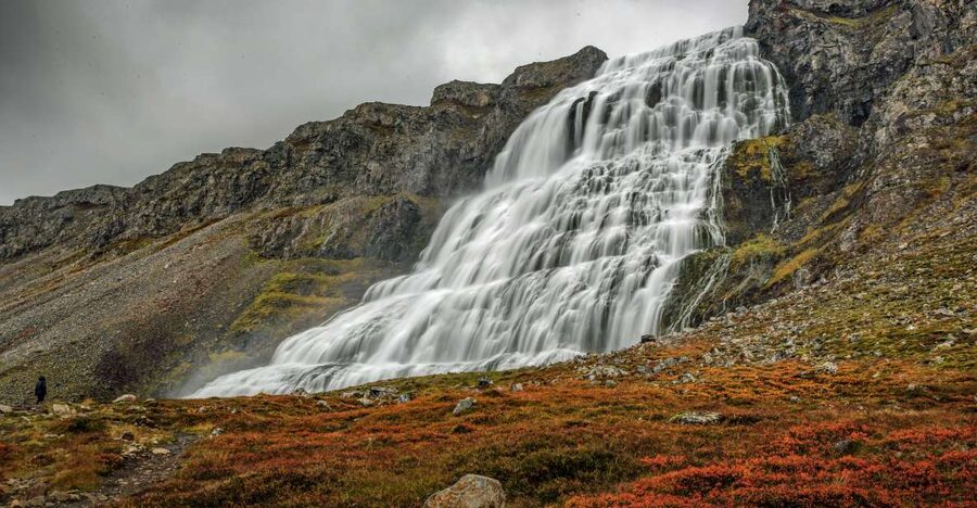 Isafjordur: Dynjandi Waterfall Tour and Icelandic Farm Visit - Your Dynjandi Stop: Walking the Trails and Choosing Your View