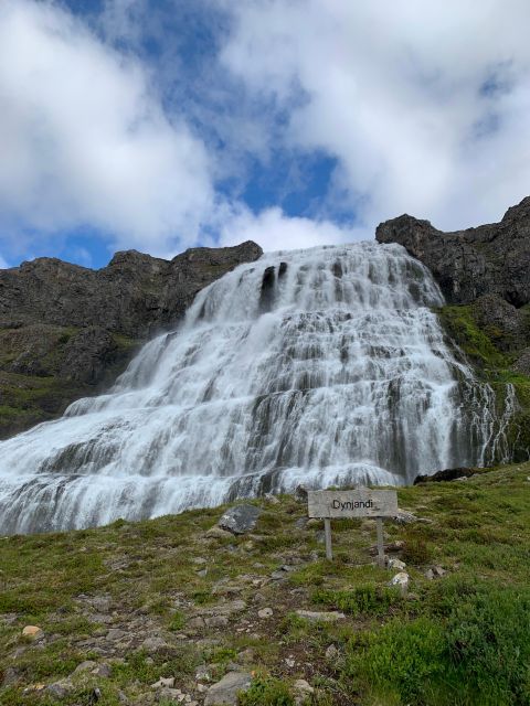 Isafjordur: Dynjandi Waterfall Tour and Icelandic Farm Visit - Price and Value: Is This Worth $154?