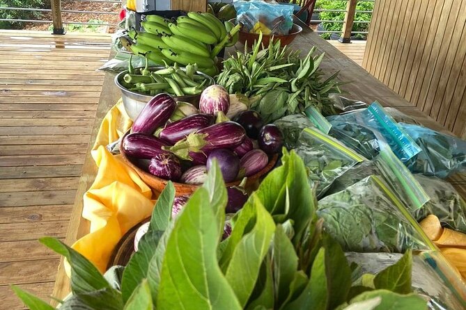Island Eco Farm Tour with Local Treats and Sapphire Beach Time - Price and Logistics: Is $26.98 a Good Deal?