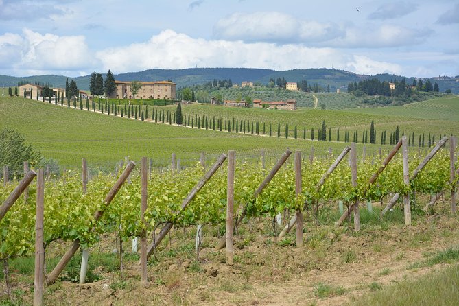 It's Wine Time! 2 wineries & farm-to-table lunch—max 8 pp - What the included wine and food tastings actually cover