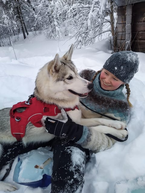 IVALO: Experience Farm Visit | small group - Should You Book Ilonka’s Ivalo Farm Visit?
