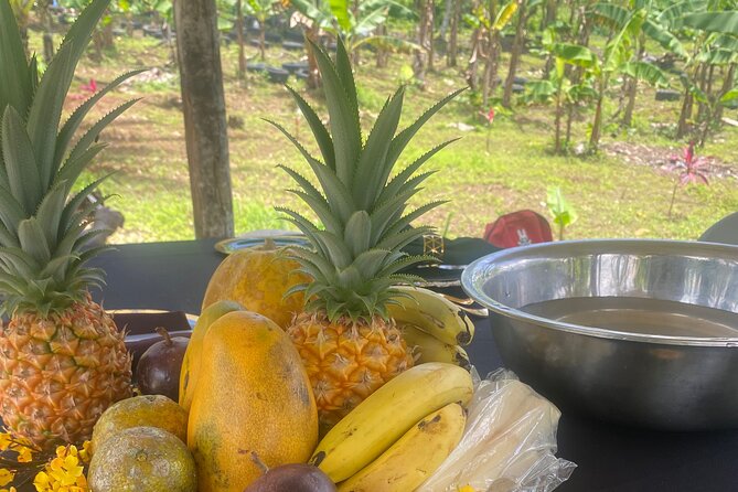 Jamaica Farm Private Dispensary Tour Montego Bay - Timing and private transport: how to make the day run smoothly