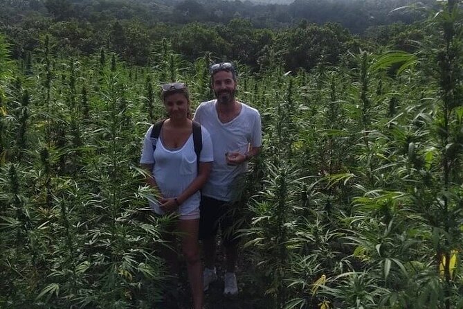 Jamaica Farm Private Dispensary Tour Montego Bay - Sam Sharpe Square: a short stop with real meaning