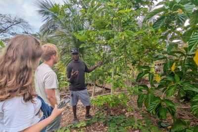 Jamaican Roots Tropical Farm Tour - Taste & Explore (Negril) 2hr - Getting to the farm: pickup, air-conditioning, and timing