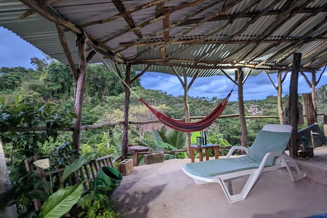 Jamaican Roots Tropical Farm Tour - Taste & Explore (Negril) 2hr - Exploring on your own after the guide