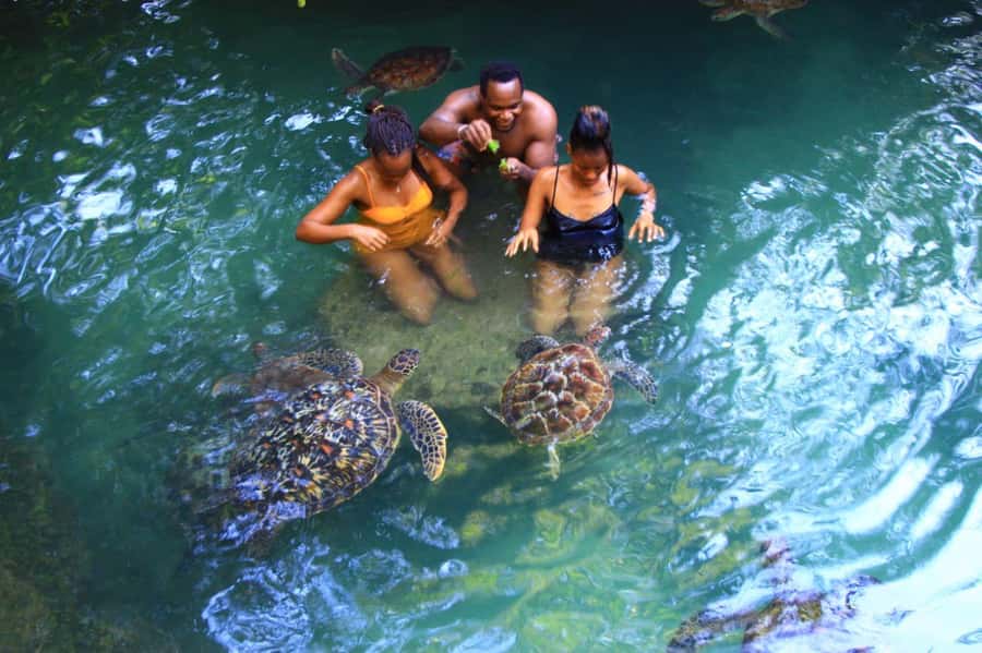 Joazani forest & Spice farm with lunch - Helpful planning: what to bring and how to feel comfortable