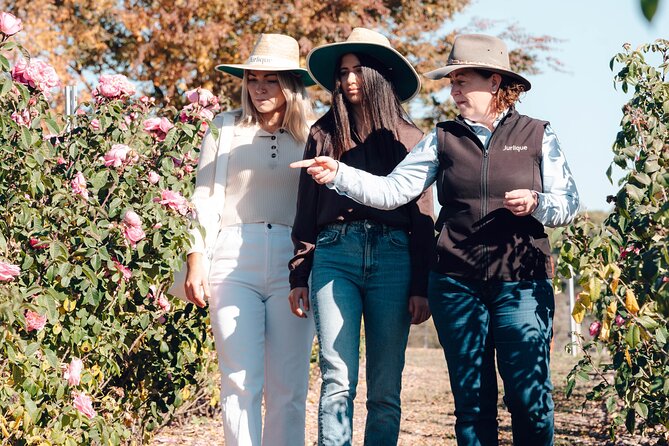 Jurlique Farm Private Immersion Tour - What you’ll learn: history, plants, and the science behind skincare