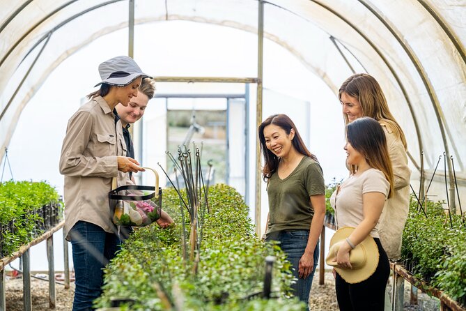 Jurlique Farm Tour - The tour rhythm with a Jurlique Ambassador (and why it matters)