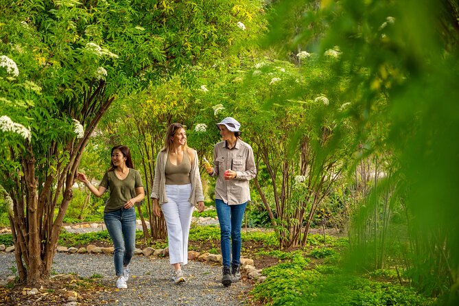 Jurlique Farm Tour - Should you book the Jurlique Farm Tour?