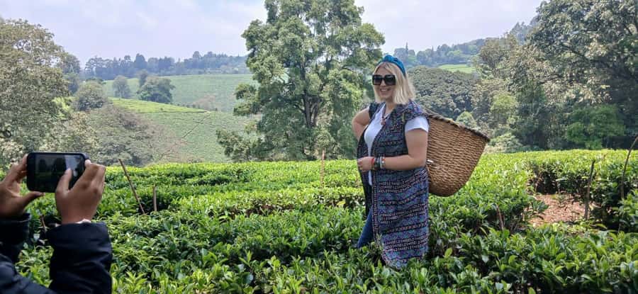Kaimbethu tea farm tour and lunch package - Tea tasting and ceremony: how to make it meaningful