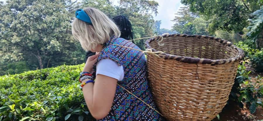 Kaimbethu tea farm tour and lunch package - Price and the real cost math ($50 tour plus $50 entrance)