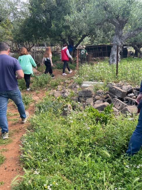 Kalamata: Farm-to-Table Experience with Cooking - Who should book this cooking day in Messinia