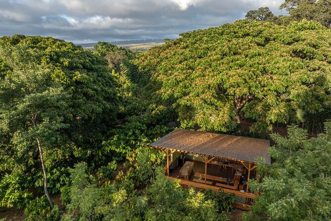 Kamananui Cacao Orchard Tour - Should you book the Kamananui Cacao Orchard Tour?