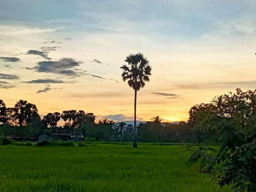 Kampot Countryside include Pepper farm,Kep crab market beach - Phnom Chhngok cave temple: 203 steps to a Funan-era brick Shiva shrine