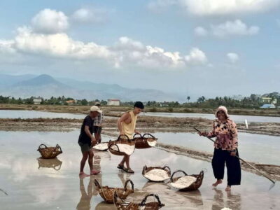 Kampot Countryside include Pepper farm,Kep crab market beach - Salt factory and salt fields: the economic story behind the views