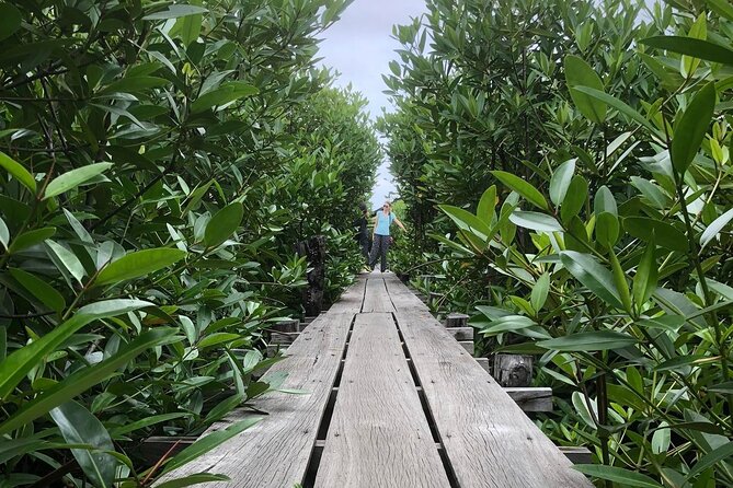 Kampot Countryside Tour - Pepper Farm, Salt Lake, Caves, and more - Price and Logistics: What $24 Buys You in Real Terms