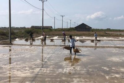 Kampot Countryside Tour - Pepper Farm, Salt Lake, Caves, and more - Stop 1: Salt Fields and the Calm Work Behind Kampot’s Salt