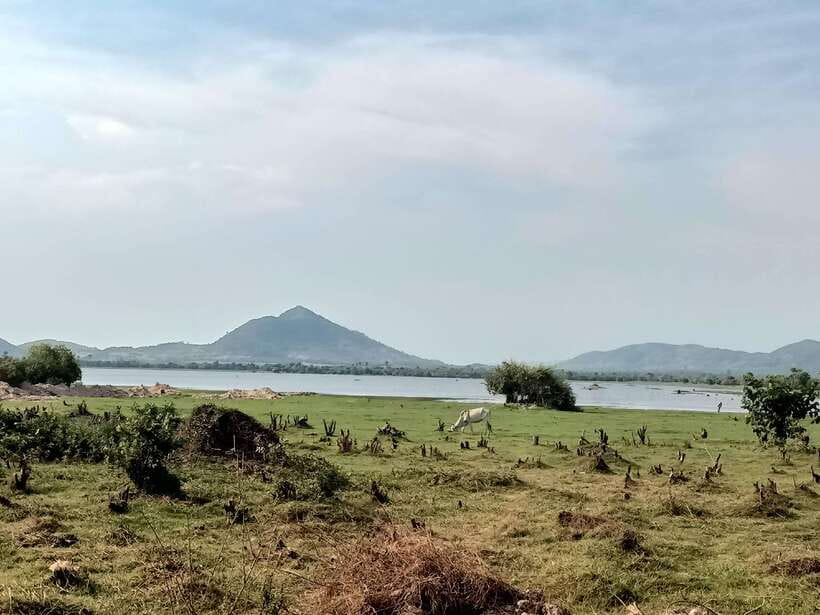 Kampot: Full-day Countryside Tour with Pepper Farm and Kep - Kep crab market and seafood: where the day turns into lunch time