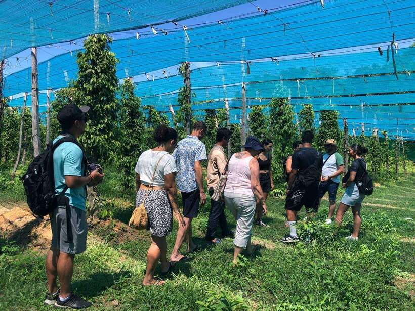 Kampot Pepper Farm, Salt Fields, Crab Market from Phnom Penh - Kampot’s colonial streets and riverside promenade