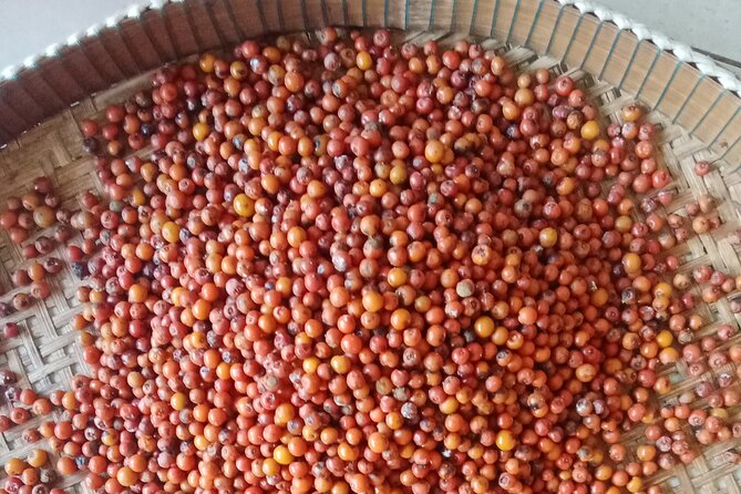 KAMPOT- Pepper farm ..salt fields.Kep/Crab market & more........ - La Plantation pepper farm: taste and learn the spice behind Kampot