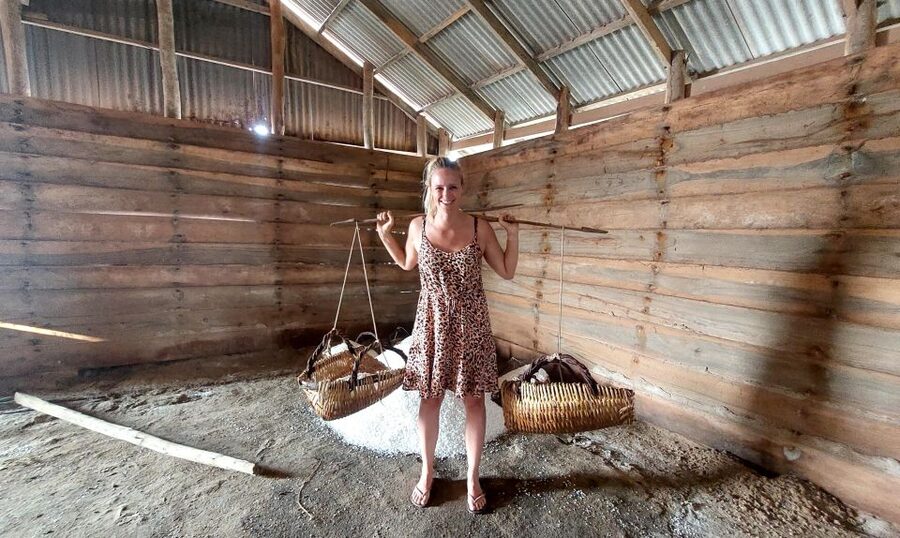Kampot: Pepper Farm Tour, Salt Field, Cave & Secret Lake - Pepper Farm Tour: How Kampot Pepper Gets Grown, Processed, and Tasted