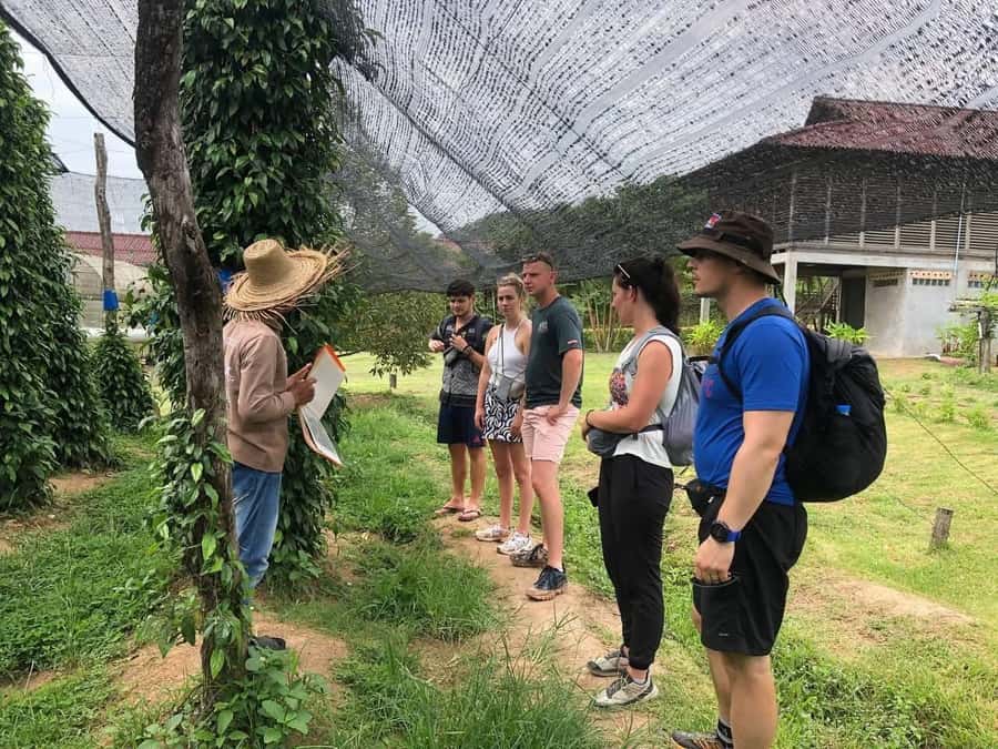 Kampot Private Tour: Pepper Farm, Salt Field & Secret Lake - Who This Tour Suits Best
