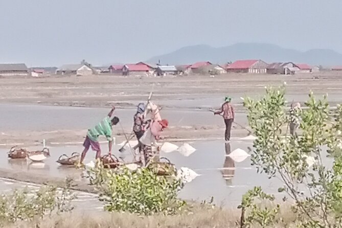 KAMPOT TRAVEL-Pepper farm. Cave.Secret lake-Crab market & Salt... - A Tuk-Tuk Day Linking Kampot Countryside and Kep Crab Country