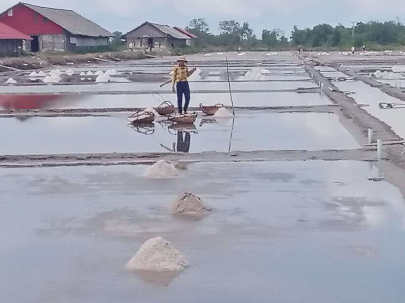 Kampot: Tuk Tuk Trip to Pepper Farm, Kep, Crab Market & More - Salt fields: seeing how Kampot’s salt gets made
