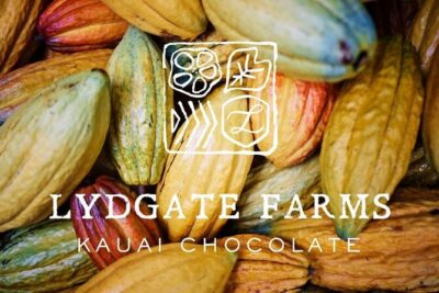Kauai Chocolate Farm Tasting Tour - Touring the farm gardens: seeing cacao as a living plant