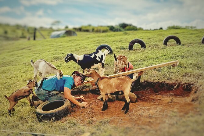 Kauai Private Baby Farm Animal Experience & Micro Dairy Immersion - Key things I found most interesting