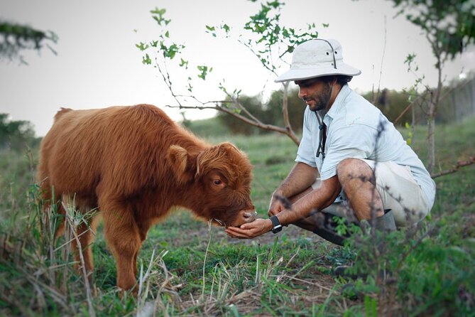 Kauai Private Baby Farm Animal Experience & Micro Dairy Immersion - A 50-minute baby farm visit that feels real, not staged