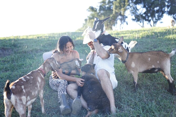 Kauai Private Baby Farm Animal Experience & Micro Dairy Immersion - Milking, raw milk tasting, and the A1 vs A2 conversation