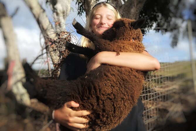 Kauai Private Baby Farm Animal Experience & Micro Dairy Immersion - Price and value: is $125 for 50 minutes worth it?