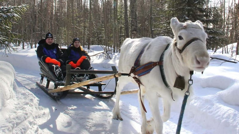 Kemi-Tornio: Reindeer farm experience - The Winter Clothing Package: What You’ll Actually Be Wearing