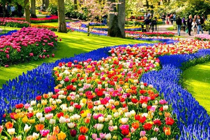 Keukenhof Skip-the-line Tickets: Countryside & Farm Private Tour - Key Highlights You’ll Feel in Real Life
