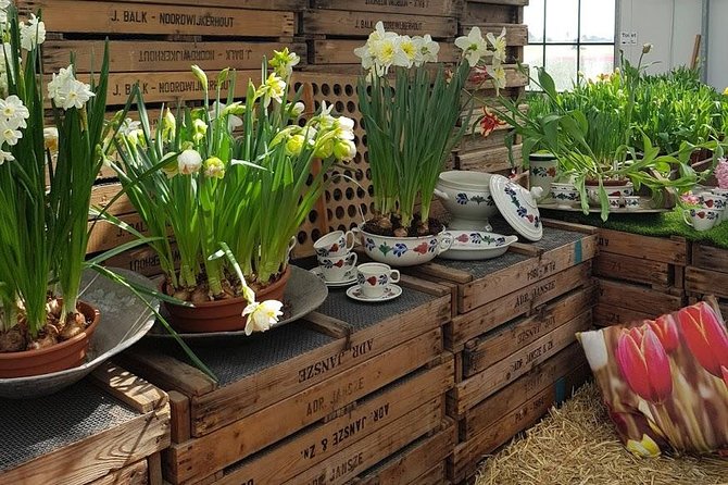 Keukenhof Skip-the-line Tickets: Countryside & Farm Private Tour - The Mercedes Comfort Factor (and Why It Matters in Holland)