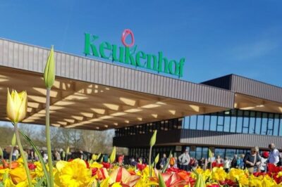 Keukenhof Skip-the-line Tickets: Countryside & Farm Private Tour - Price and Logistics: What You’re Really Paying For