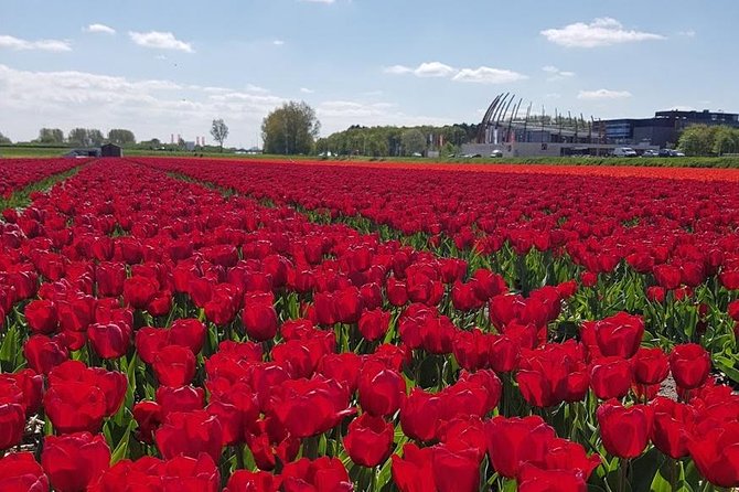 Keukenhof Skip-the-line Tickets: Countryside & Farm Private Tour - Lisse Flowerfields and a Bulb Farm Stop: Tulips Up Close