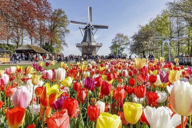 Keukenhof Skip-the-line Tickets: Countryside & Farm Private Tour - Zaanse Schans on the Zaan: Windmills, Clogs, and the Heritage Mood