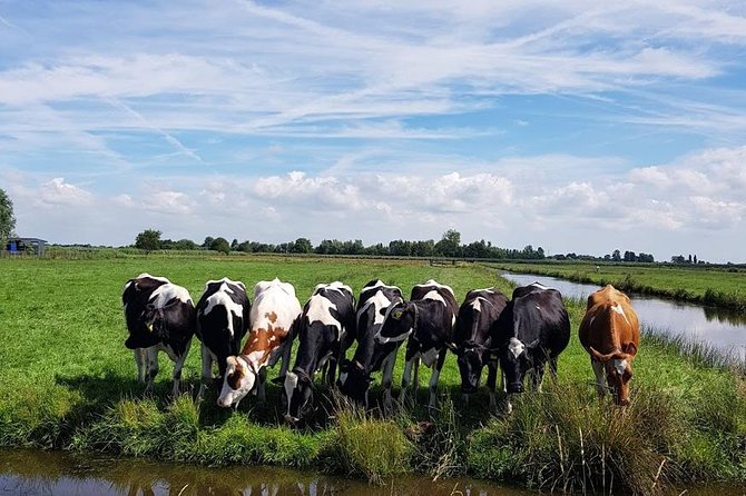 Keukenhof Skip-the-line Tickets: Countryside & Farm Private Tour - Volendam: Ending in the Harbor Town Feeling