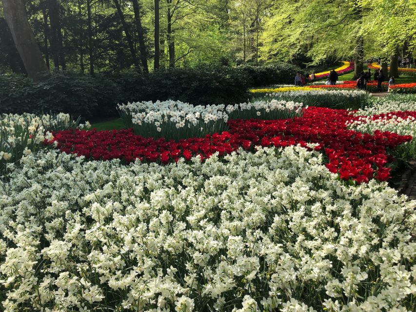 Keukenhof, Tulip Farm, Flower Fields & Windmills - Key Highlights You’ll Actually Feel