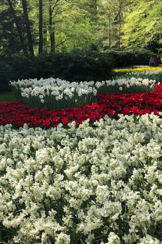 Keukenhof, Tulip Farm, Flower Fields & Windmills - How the 7.5-Hour Private Route Flows From Amsterdam