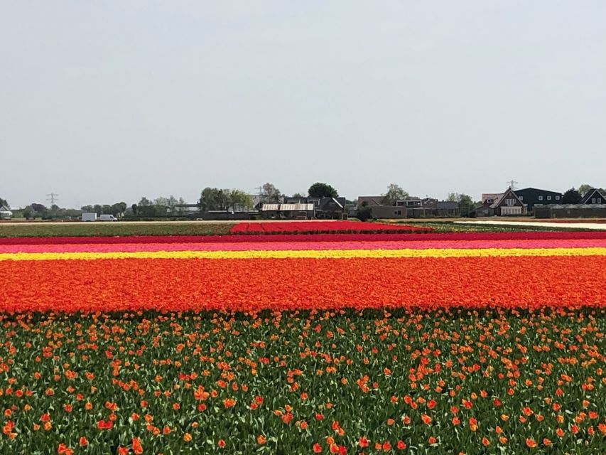 Keukenhof, Tulip Farm, Flower Fields & Windmills - Beemster UNESCO Drive and an Authentic Working Mill Stop