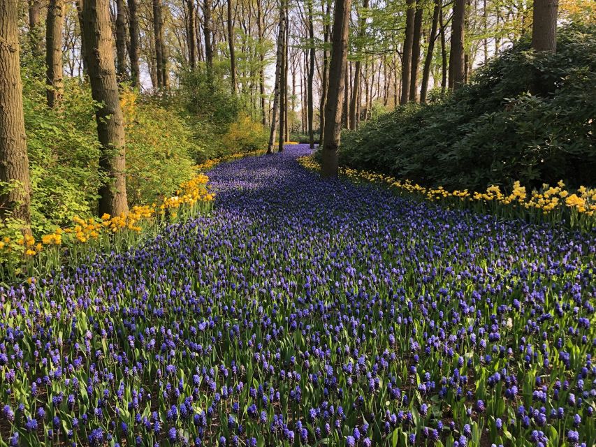 Keukenhof, Tulip Farm, Flower Fields & Windmills - Volendam and Marken: Colourful Houses and a Historic Island Walk